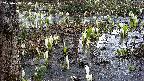 mizubasho4-20250408120052.jpg