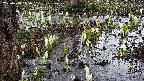 mizubasho4-20250408145054.jpg