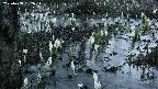 mizubasho4-20250408182052.jpg