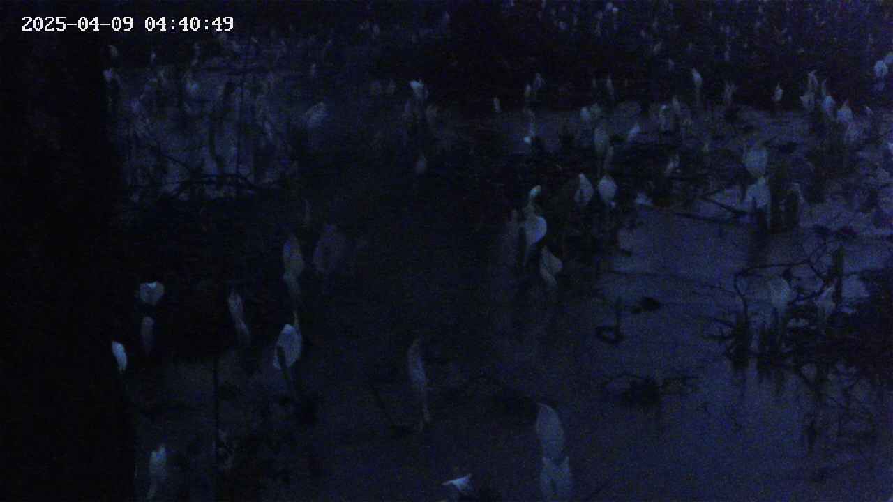mizubasho4-20250409044050.jpg