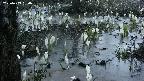 mizubasho4-20250409050055.jpg
