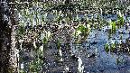 mizubasho4-20250409102057.jpg