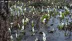 mizubasho4-20250409181056.jpg