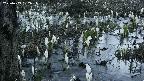 mizubasho4-20250409182053.jpg