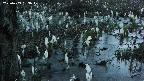 mizubasho4-20250409183048.jpg