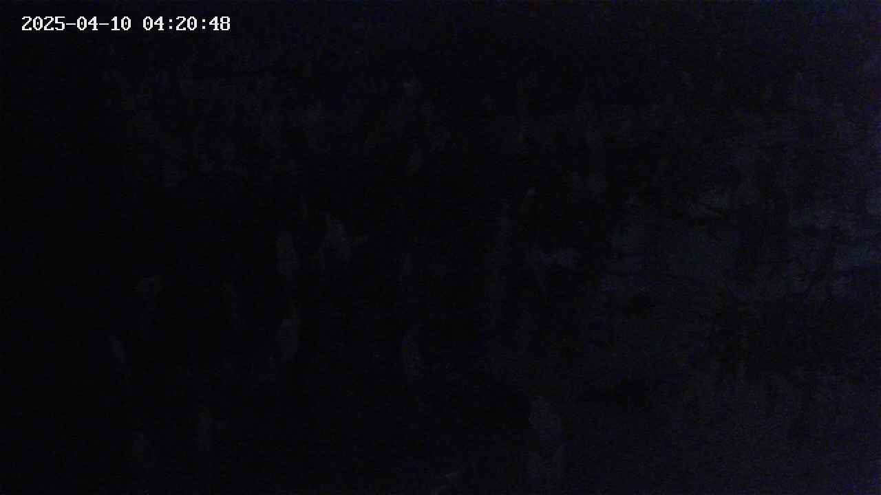 mizubasho4-20250410042049.jpg