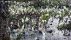 mizubasho4-20250410052100.jpg