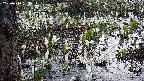 mizubasho4-20250410053057.jpg