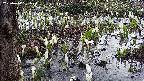 mizubasho4-20250410061057.jpg