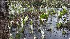 mizubasho4-20250410170055.jpg
