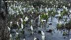 mizubasho4-20250410182051.jpg