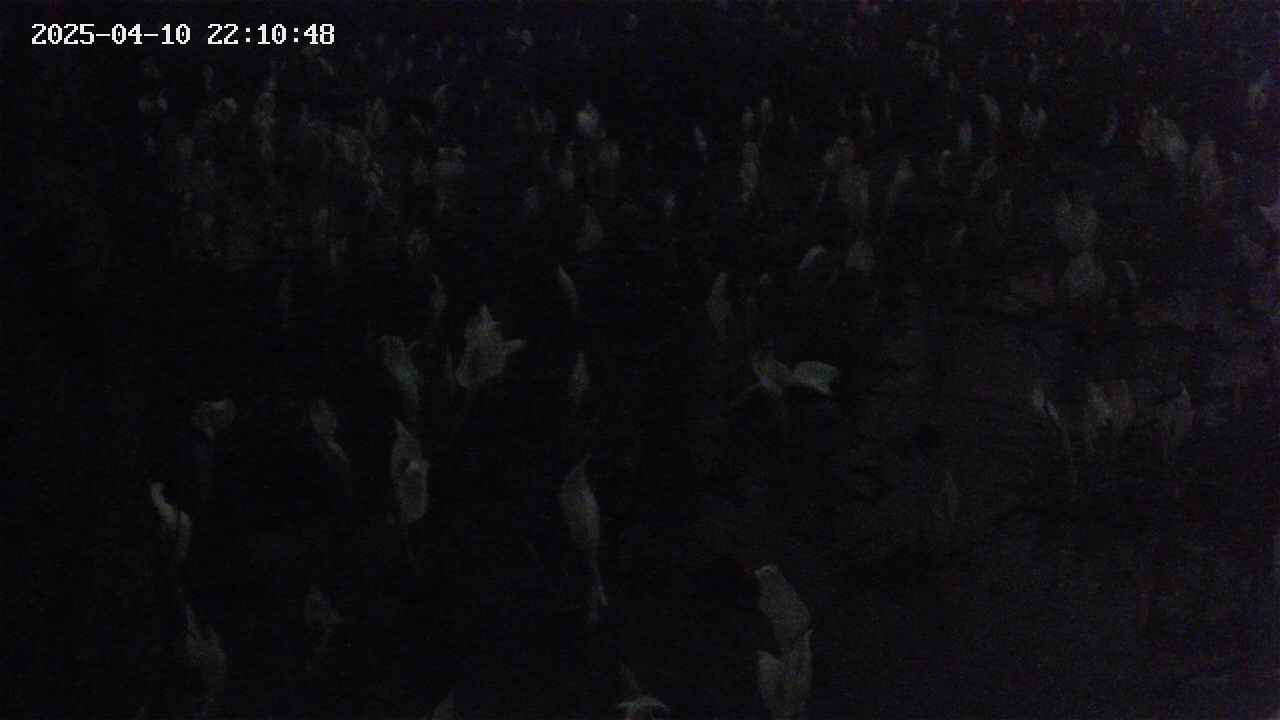 mizubasho4-20250410221049.jpg