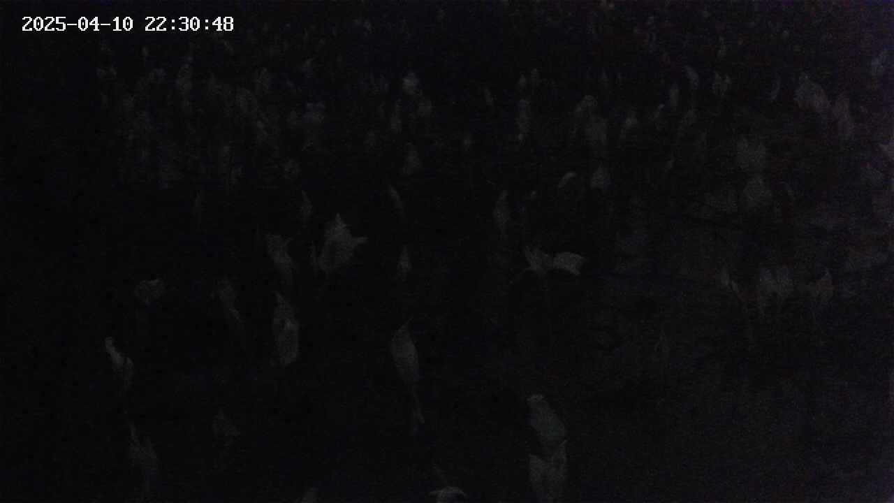 mizubasho4-20250410223049.jpg