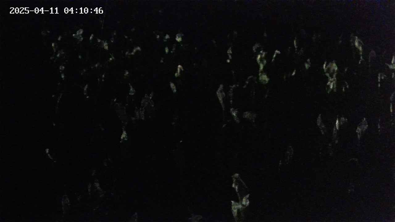 mizubasho4-20250411041047.jpg