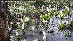 mizubasho4-20250411110054.jpg