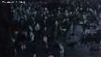 mizubasho4-20250411185050.jpg