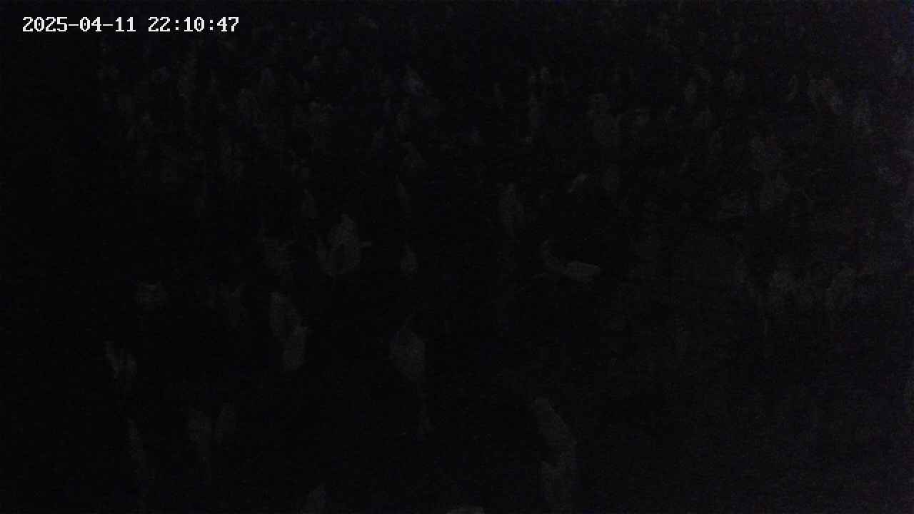 mizubasho4-20250411221048.jpg