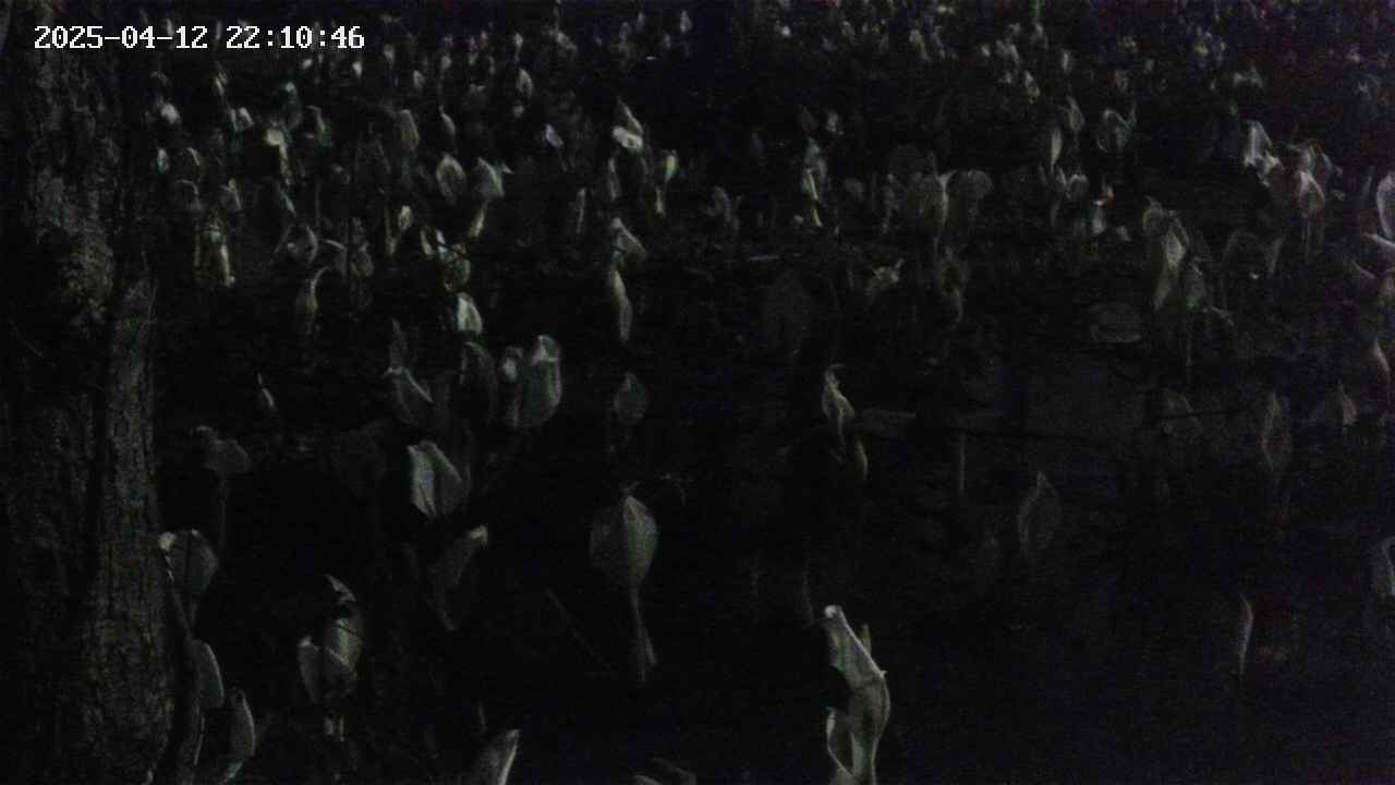 mizubasho4-20250412221048.jpg