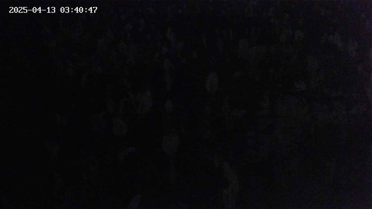 mizubasho4-20250413034048.jpg