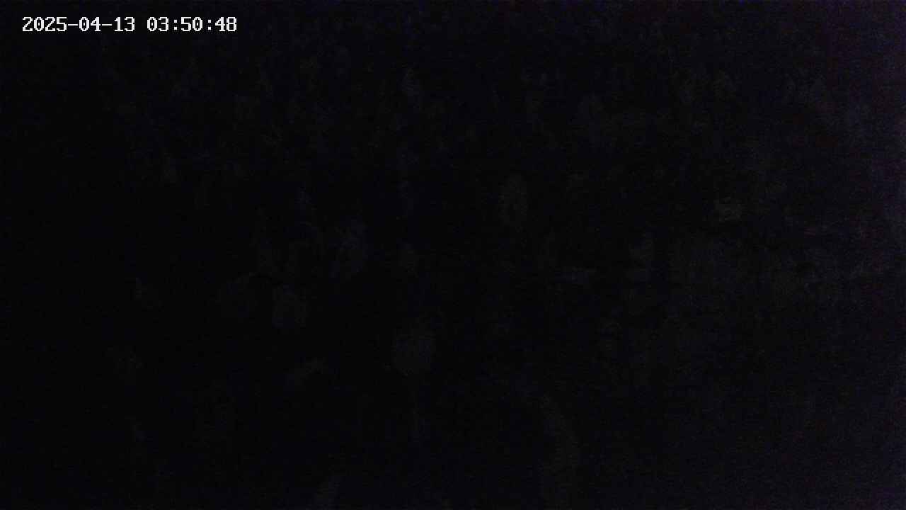 mizubasho4-20250413035049.jpg