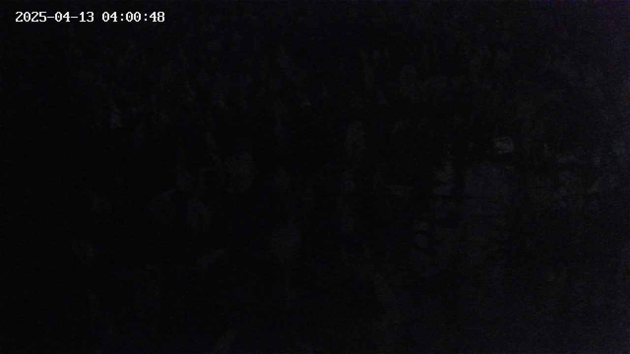 mizubasho4-20250413040049.jpg