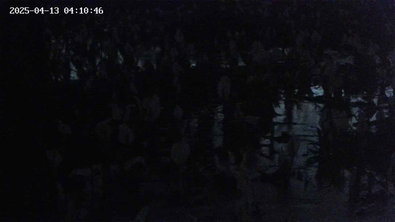 mizubasho4-20250413041048.jpg