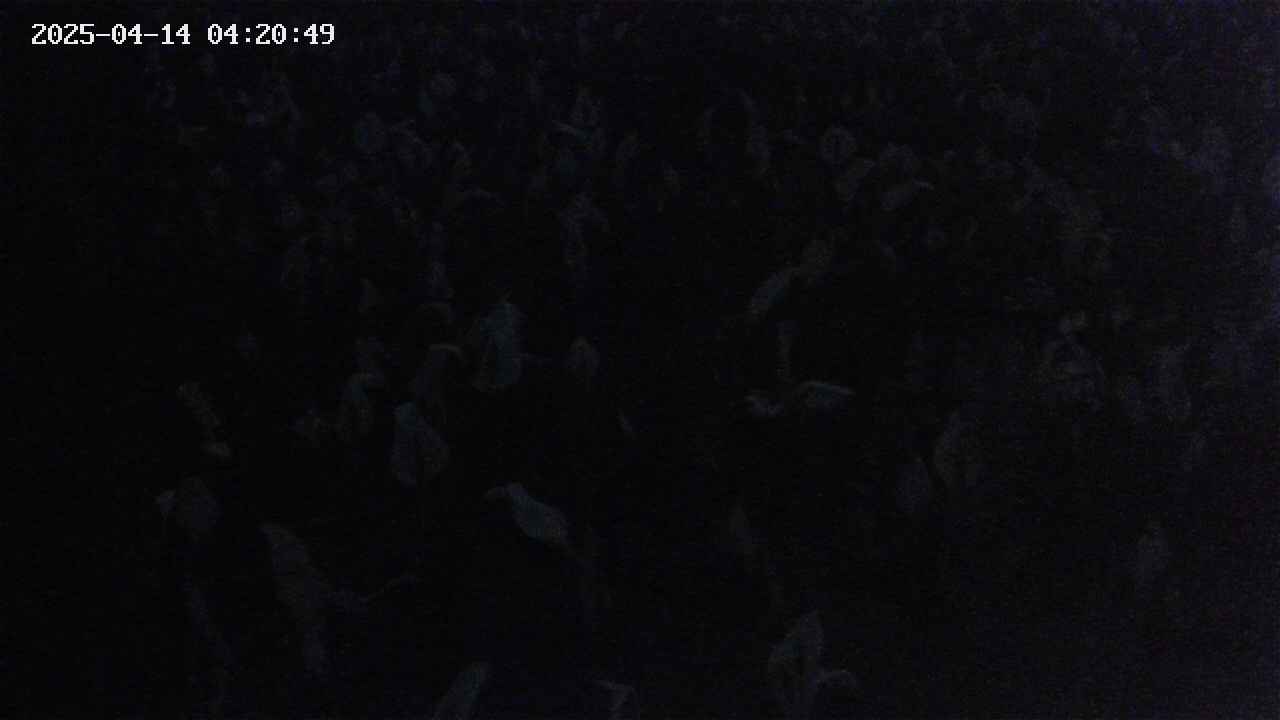 mizubasho4-20250414042051.jpg