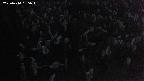 mizubasho4-20250414185050.jpg