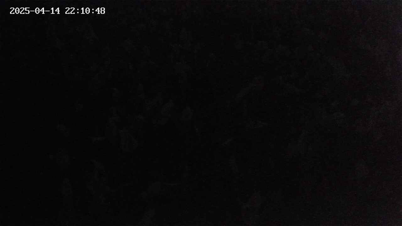 mizubasho4-20250414221049.jpg
