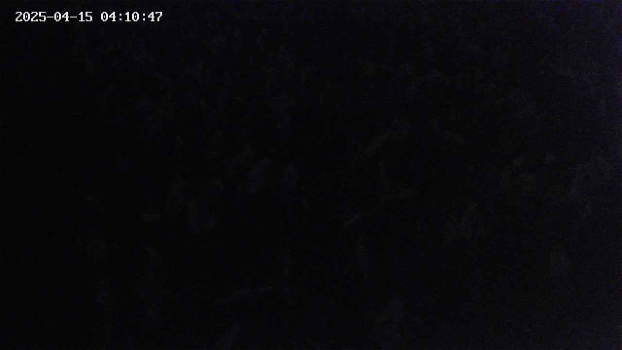mizubasho4-20250415041048.jpg