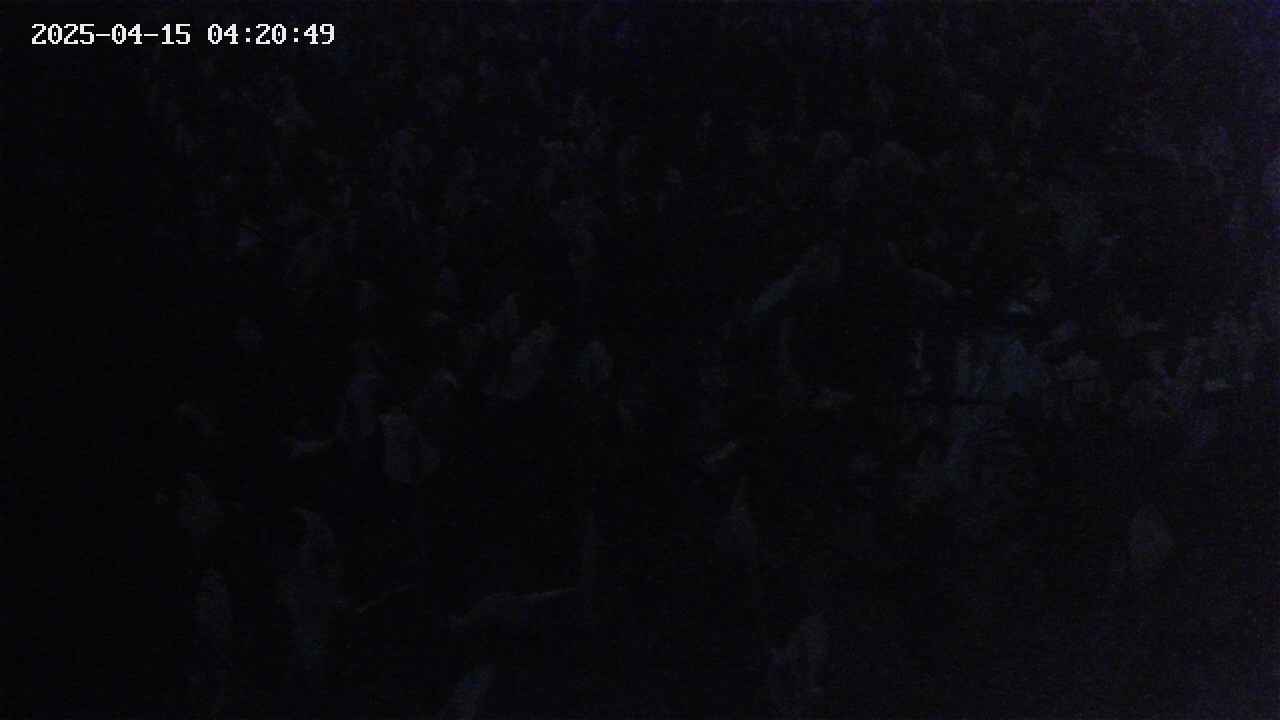 mizubasho4-20250415042050.jpg