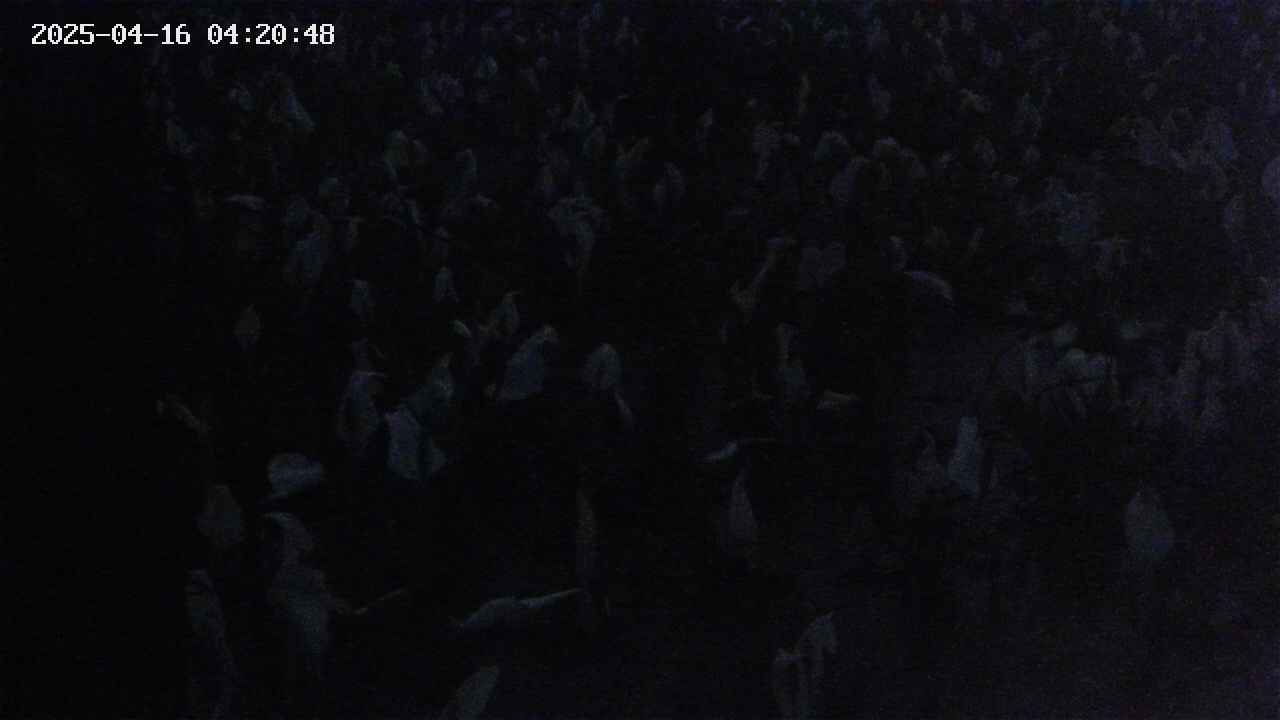 mizubasho4-20250416042048.jpg