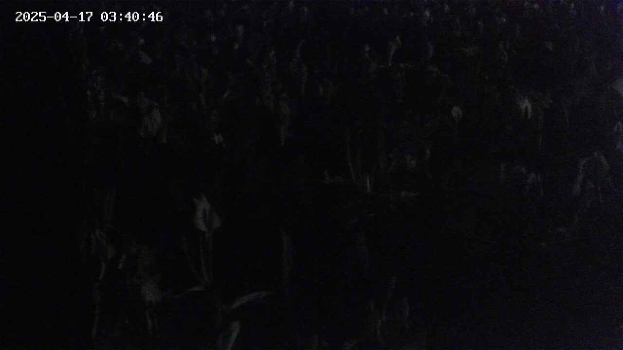 mizubasho4-20250417034047.jpg