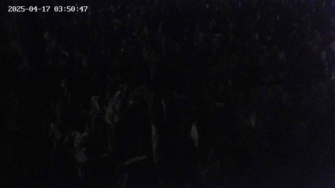 mizubasho4-20250417035048.jpg