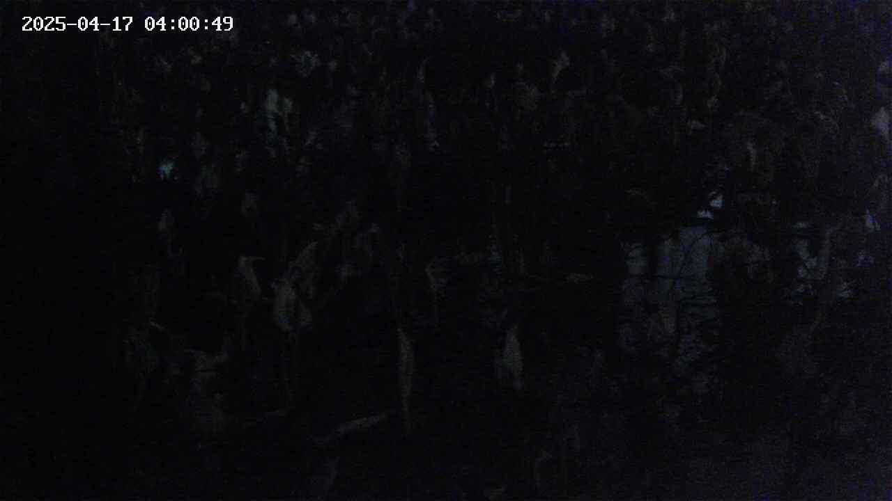 mizubasho4-20250417040050.jpg