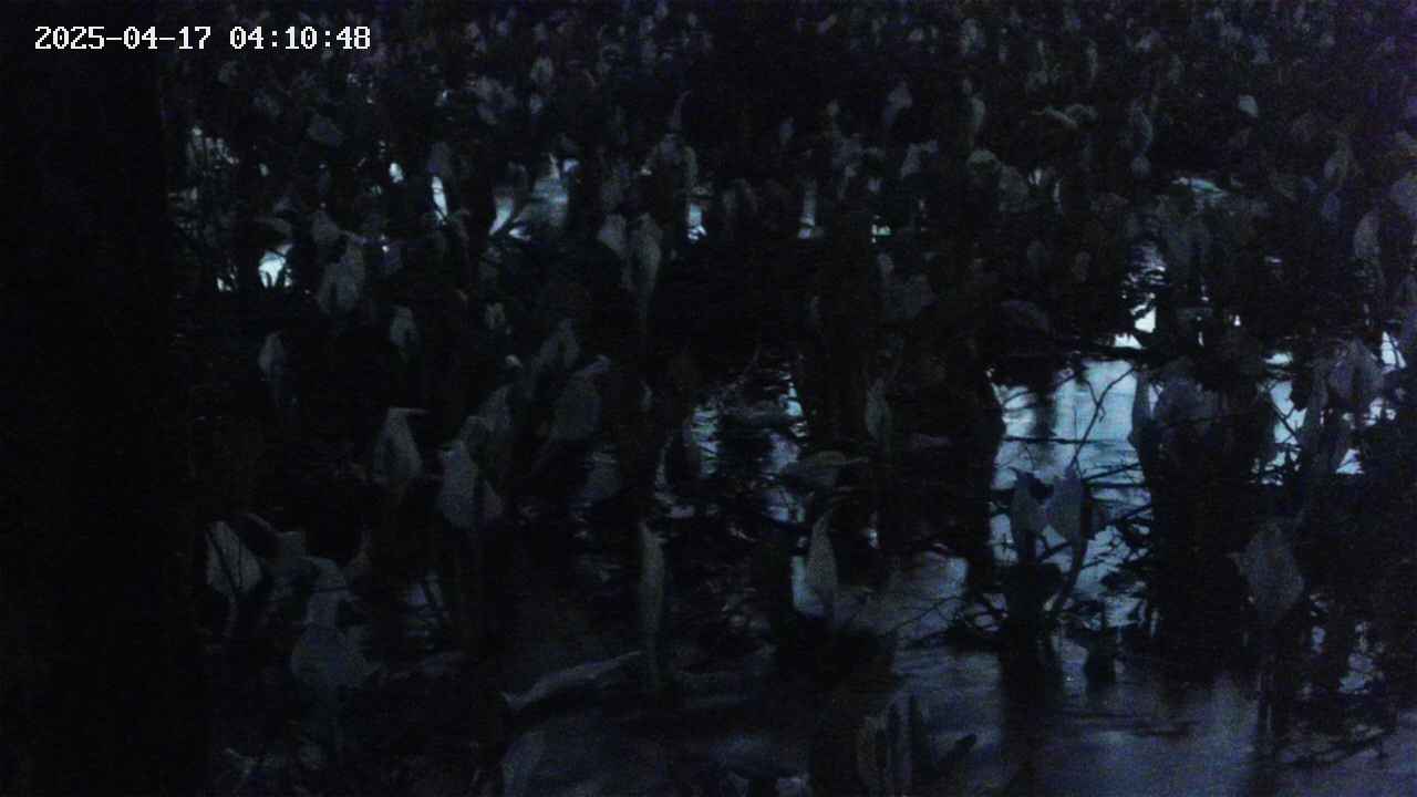 mizubasho4-20250417041049.jpg