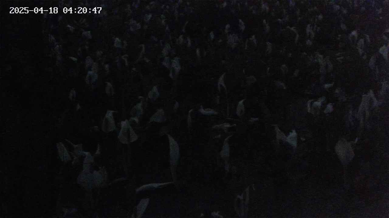 mizubasho4-20250418042048.jpg