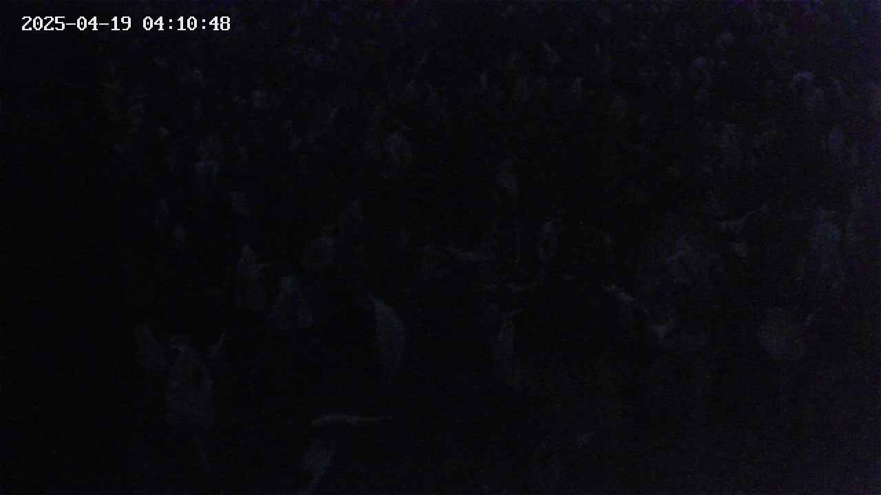 mizubasho4-20250419041048.jpg