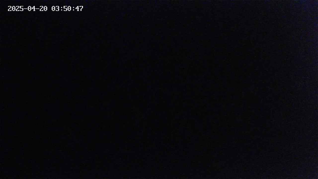 mizubasho4-20250420035048.jpg