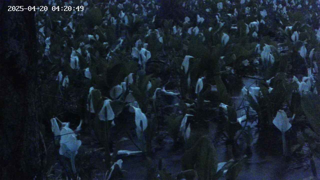 mizubasho4-20250420042051.jpg