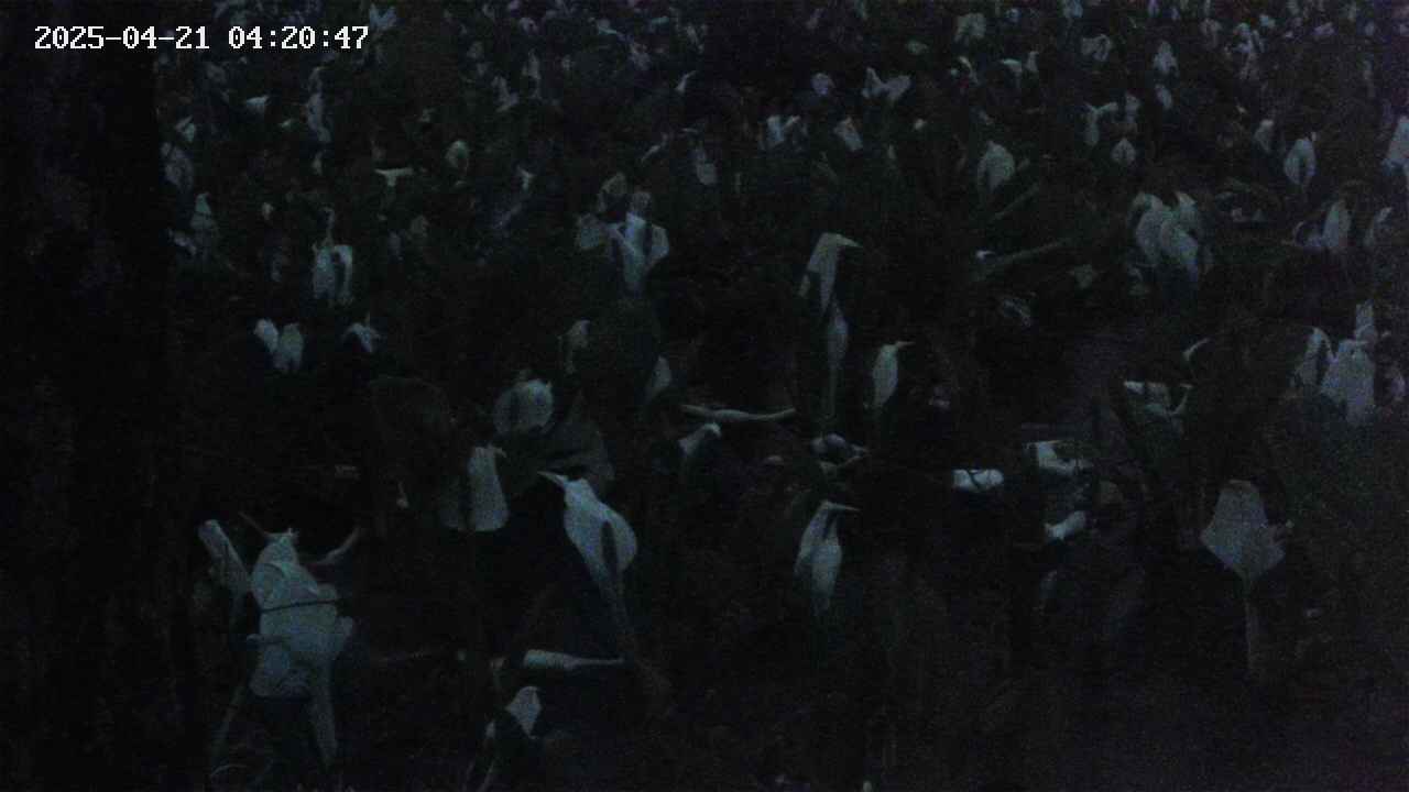 mizubasho4-20250421042049.jpg