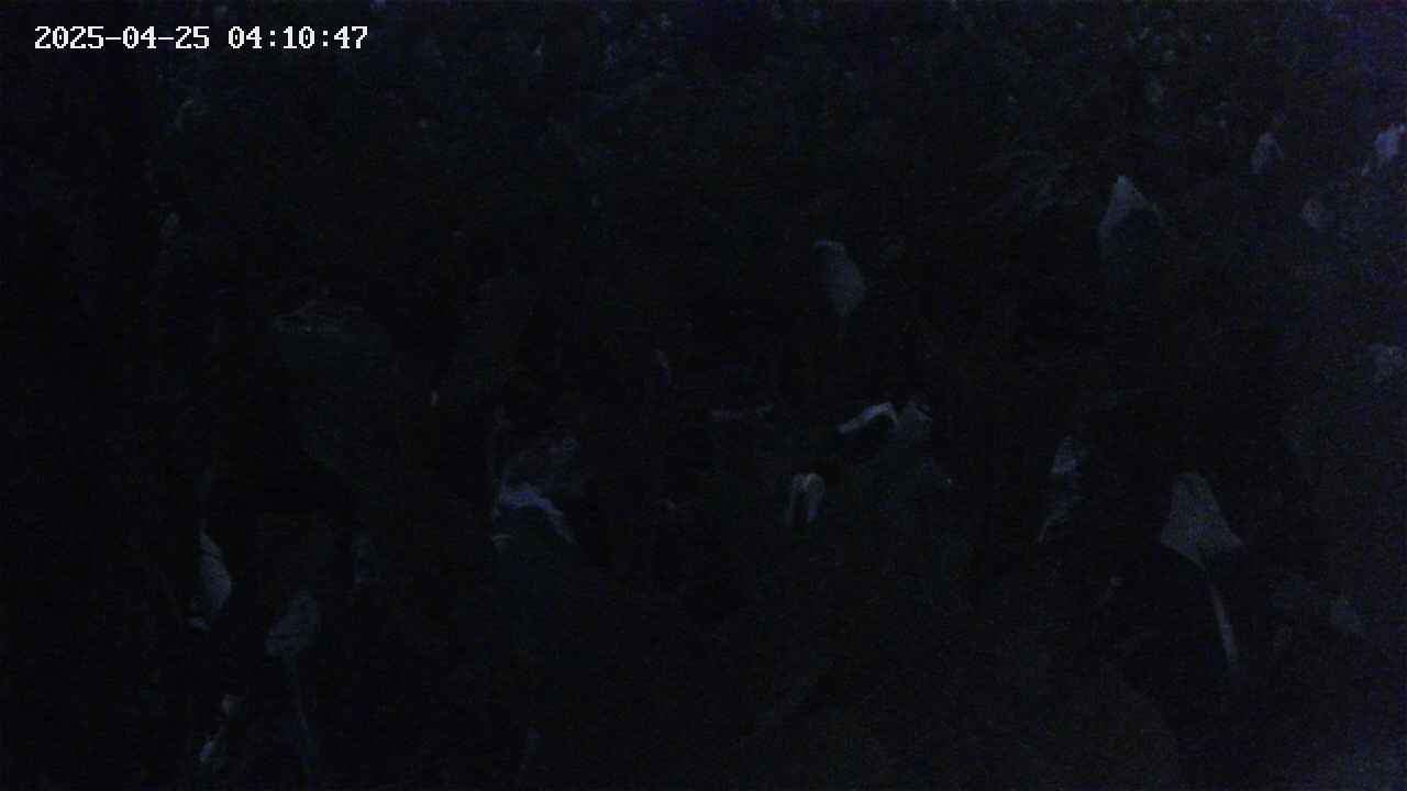 mizubasho4-20250425041048.jpg