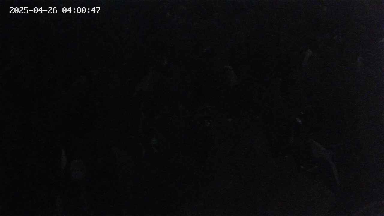 mizubasho4-20250426040048.jpg