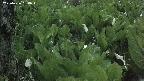 mizubasho4-20250426184050.jpg