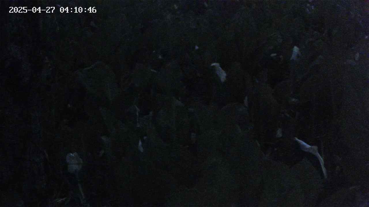 mizubasho4-20250427041047.jpg