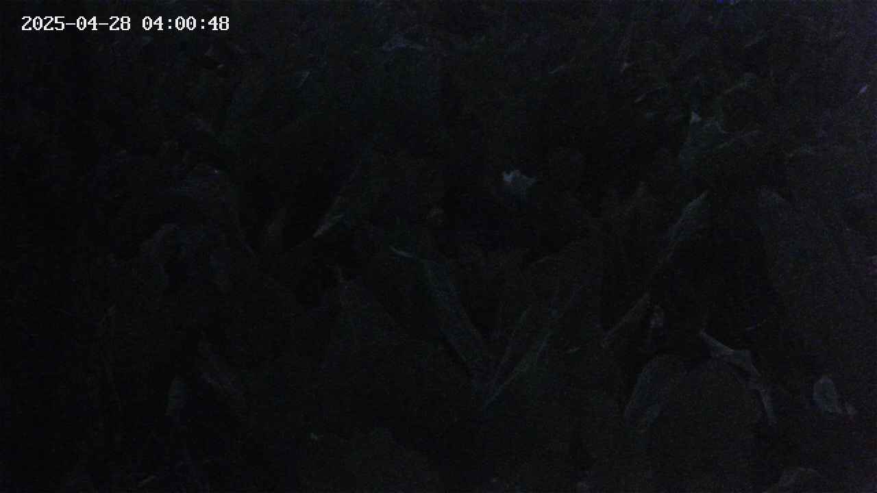 mizubasho4-20250428040049.jpg