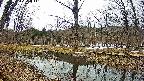 mizubasho5-20250403101018.jpg