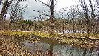 mizubasho5-20250404135016.jpg