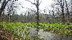 mizubasho5-20250420060015.jpg