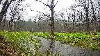 mizubasho5-20250420065016.jpg